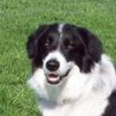 Rossi was adopted in November, 2004
